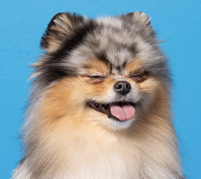 DEALS Knightdale Marketplace