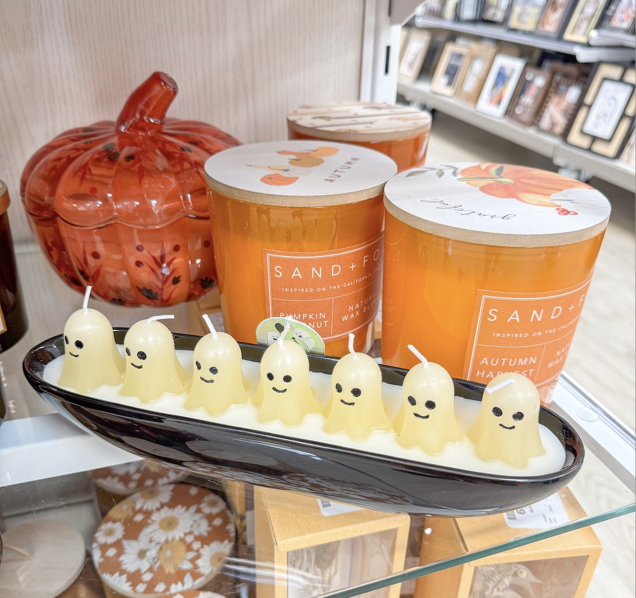 Fall & Halloween Fun